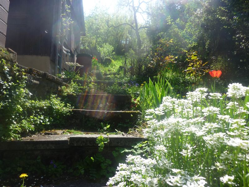 Idyllisches Wohnen in grüner Umgebung. Im Altbau oder als Neubau möglich
